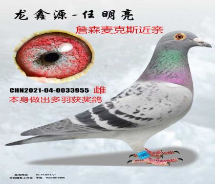 ղɭ���˹���ؽ���