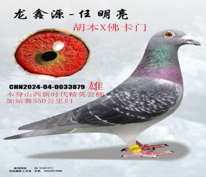 ɽ����ʱ����Ӣ��վ��5����ǹ���ھ�ֱϵ