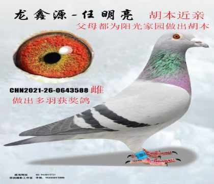 �����԰������������