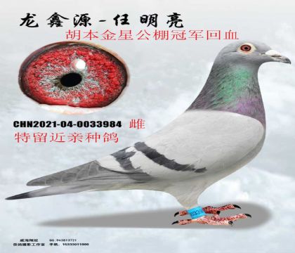 ���ǹ���ھ�ֱϵ��������