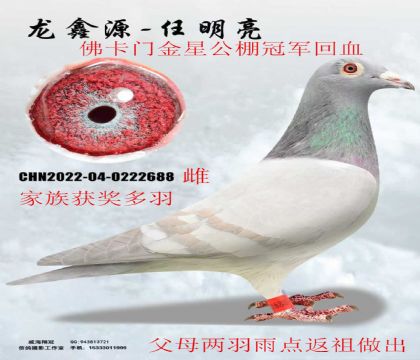 �������ź������ױ����