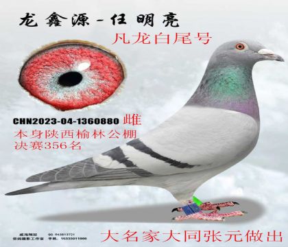 ���Ҵ�ͬ��Ԫ�����������ֹ������356��������β��