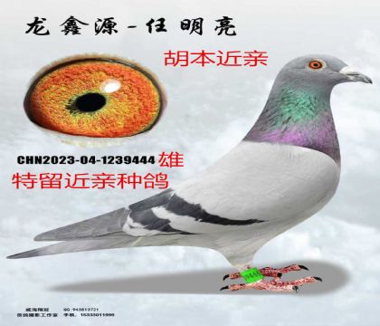 ���ǹ���ھ�ֱϵ��������