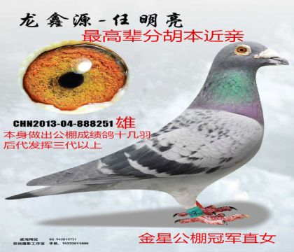 ��߱��ֽ��ǹ���ھ�ֱŮ��������