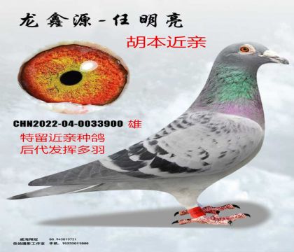 ���ǹ���ھ�ֱϵ��������