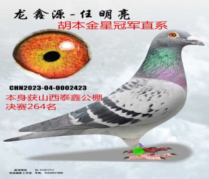 ɽ��̩�ι������264������