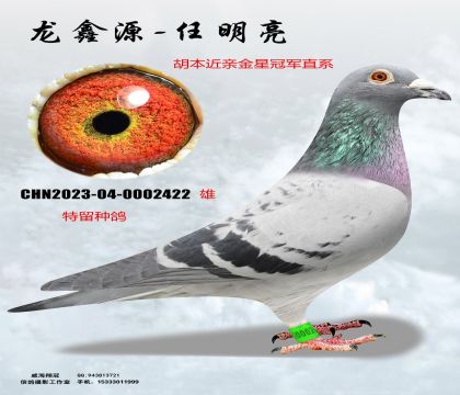 ���ǹ���ھ�ֱϵ��������