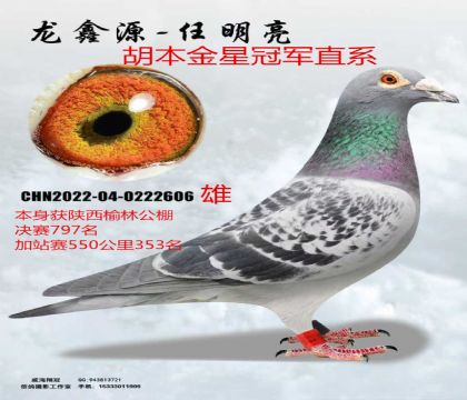 �������ֹ������797��վ��353������