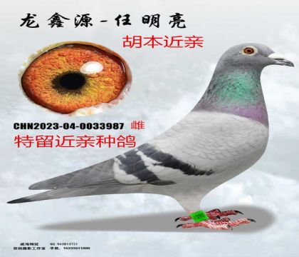 �������ؽ���