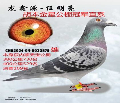 �عؿ������챦�������109������