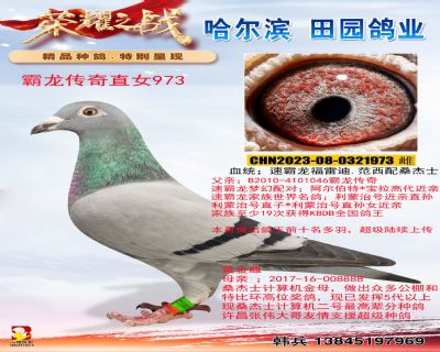 霸龙传奇直女973