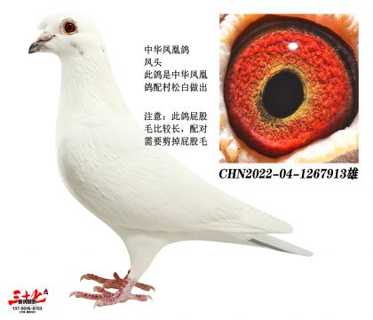 �����ͷ-�л���˸�X���ɰ�