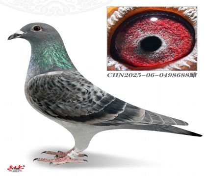 Ľ���Ű��������X����23λĽ����