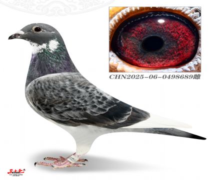 Ľ���Ű��������XĽ���Ÿ���23λ