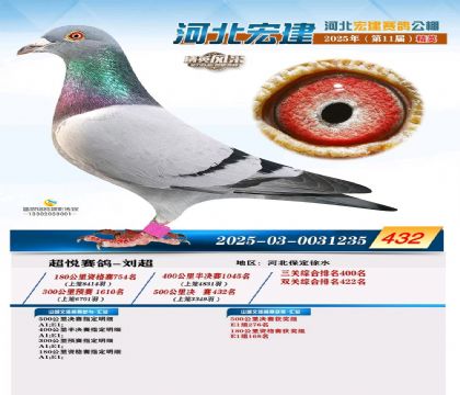 河北宏建赛鸽公棚500公里决赛432名 雄