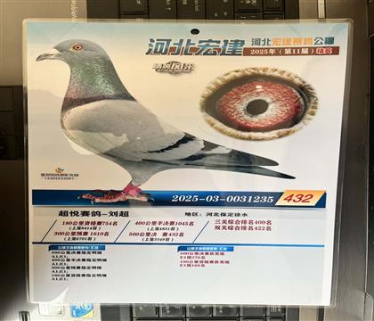 ����Ƭ��뷢��