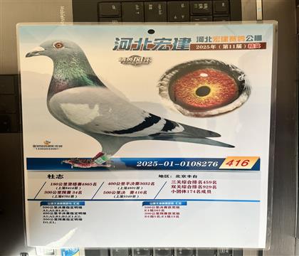 获奖照片随鸽发送