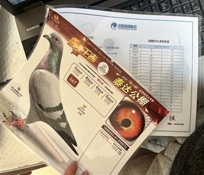 ����Ƭ��뷢��