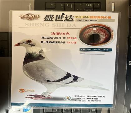 ����Ƭ��뷢��