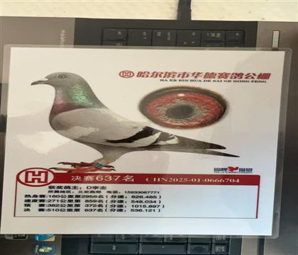 ����Ƭ��뷢��