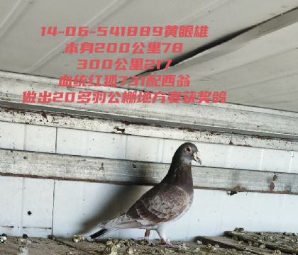 ���731������