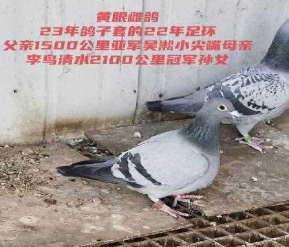 1500�Ǿ���2ǧ�ھ���Ů��������������