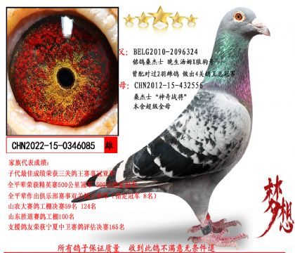 ��������ķX�ǹ��š�Xɣ��ʿ������ս����