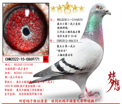 ɣ��ʿ��һ��ʿֱ��X��һ��ʿ����Ů