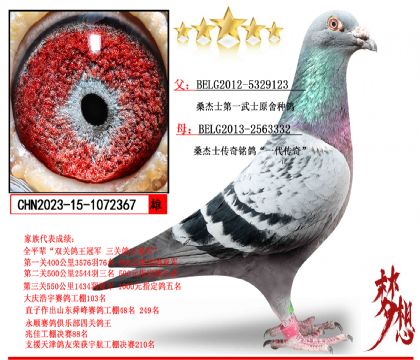 ɣ��ʿ��һ��ʿXɣ��ʿһ�������ĸ