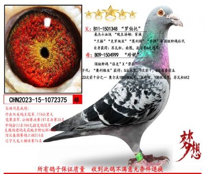 ������ķ���嶥������375