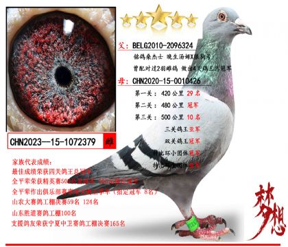 ����ɣ��ʿ ������ķX�ǹ���X��˫�عھ������Ǿ���