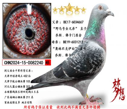 ��Ұ����ȫ�ֵܡ�ֱ��X������ƥ�����ޡ�ֱŮ