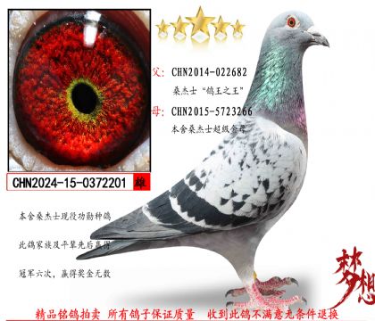 ɣ��ʿ������֮����201����