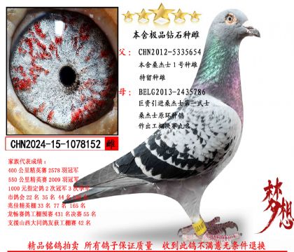 ɣ��ʿ��Ʒ�����ִ�