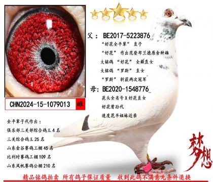 ���û�ȫƽ����ֱ��X����ͷȫʡ��X�û�ֱŮ��