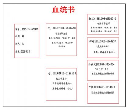 2023-15-1072380Ѫ_����