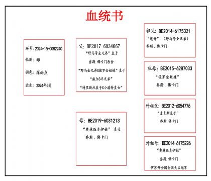 2024-15-0082240血_副本