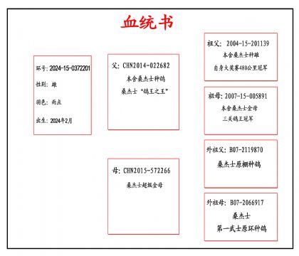 2024-15-0372201Ѫ_����