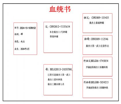 2024-15-1078152Ѫ_����