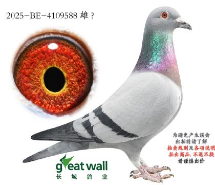 2.��ѻ��ض�x��ʱ��.4109588