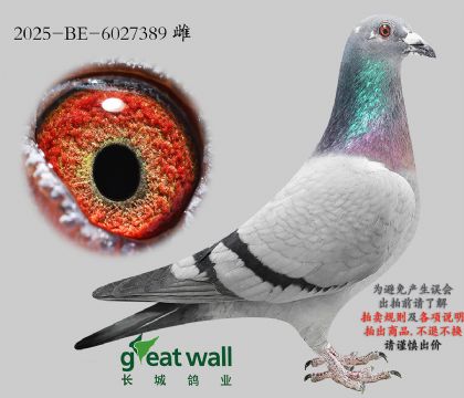 4.¡����ԭ��.6027389