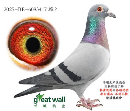 3.Ӣ��˹ԭ��.6083417