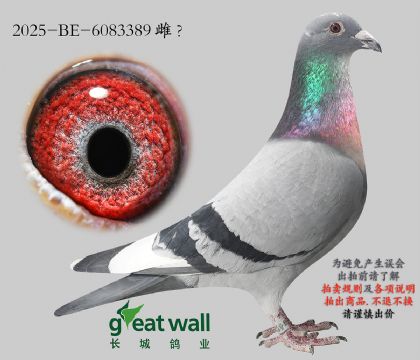 6.Ӣ��˹ԭ��.6083389