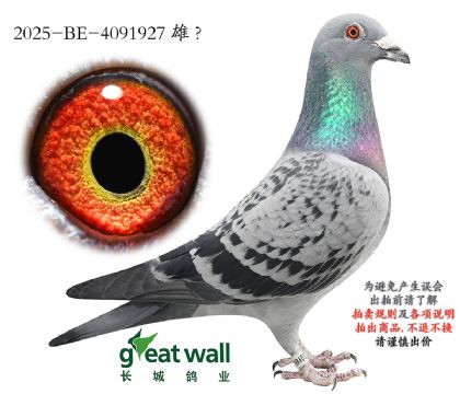 5.�����ֵ�ԭ��.4091927