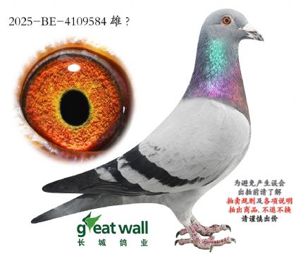 8.��ѻ��ض�x��ʱ��.4109584