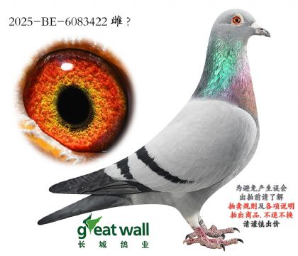 9.Ӣ��˹ԭ��.6083422