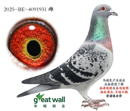 10.�����ֵ�ԭ��.4091931