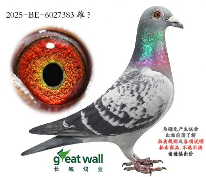 11.¡����ԭ��.6027383