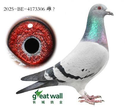 12.��ķ������ԭ��.4173306