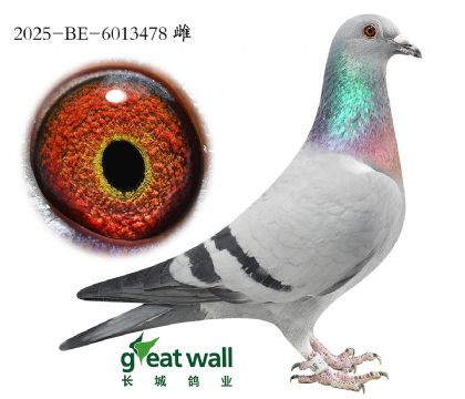 13.���ֿ�˹ԭ��.6013478